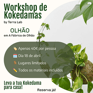 Workshop de Kokedamas - Olhão - 18 de Abril