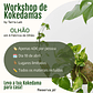 Workshop de Kokedamas - Olhão - 18 de Abril - Thumbnail 1