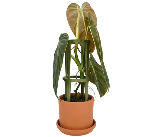 Soporte Modular para Plantas