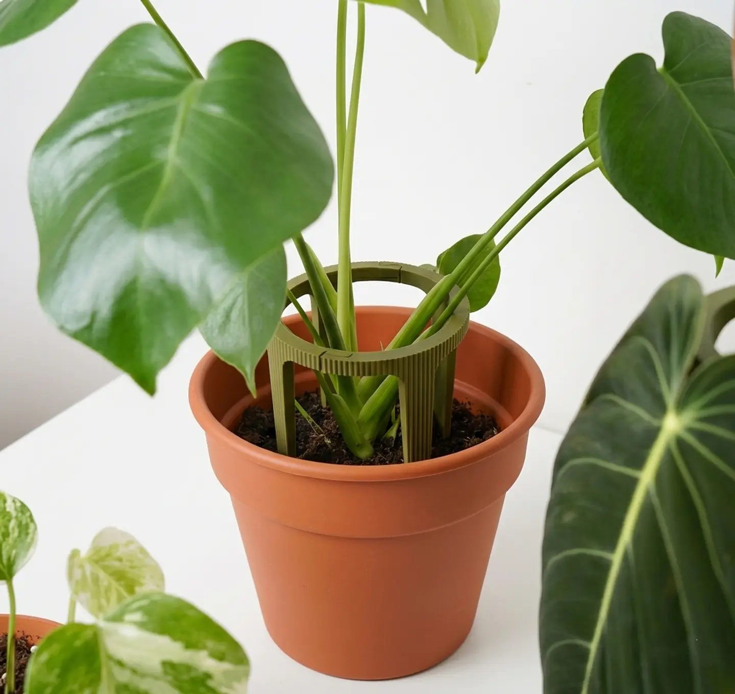 Soporte Modular para Plantas 6