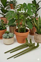 Soporte Modular para Plantas - Miniatura 5