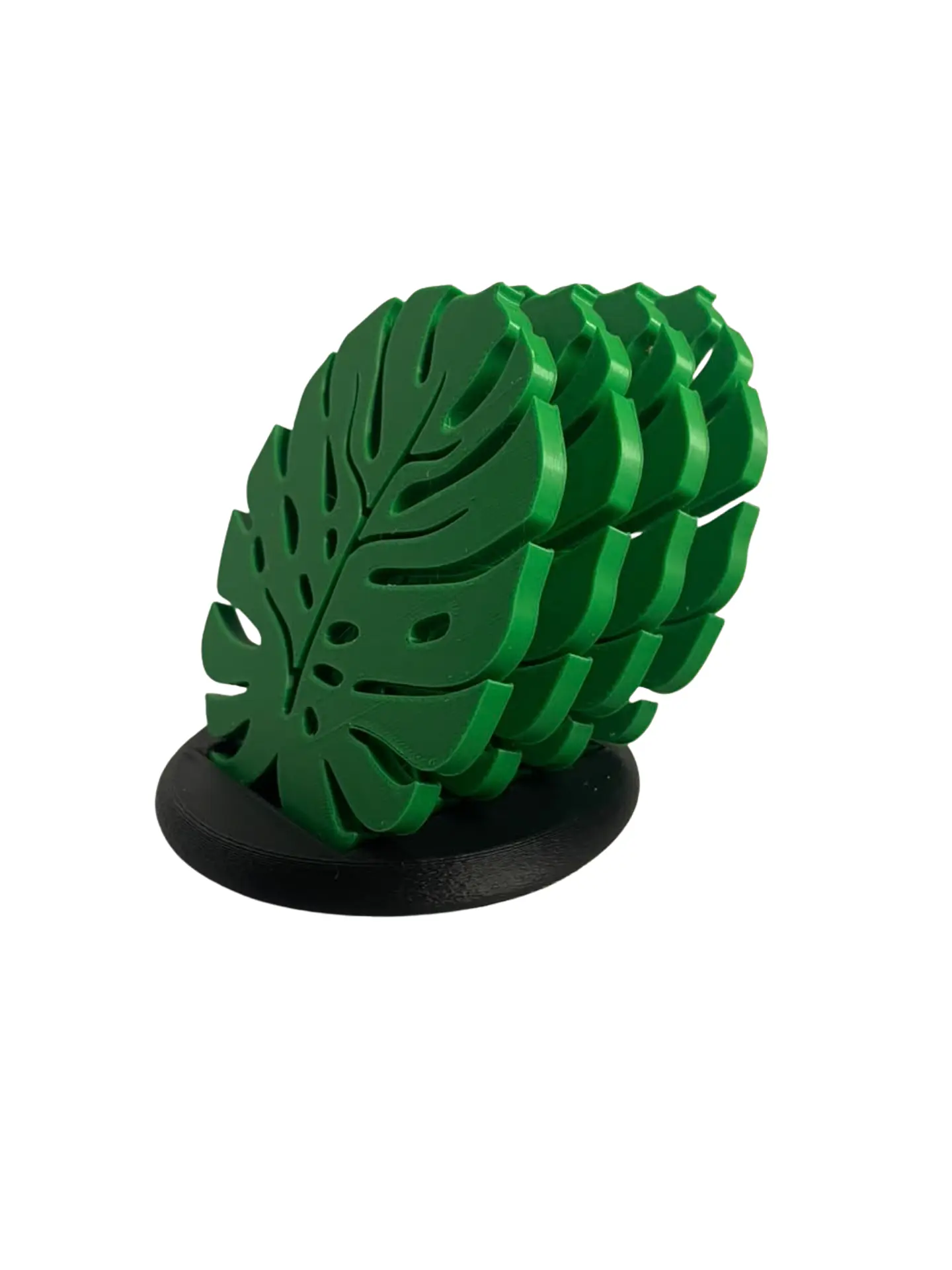 Posavasos Monstera 2