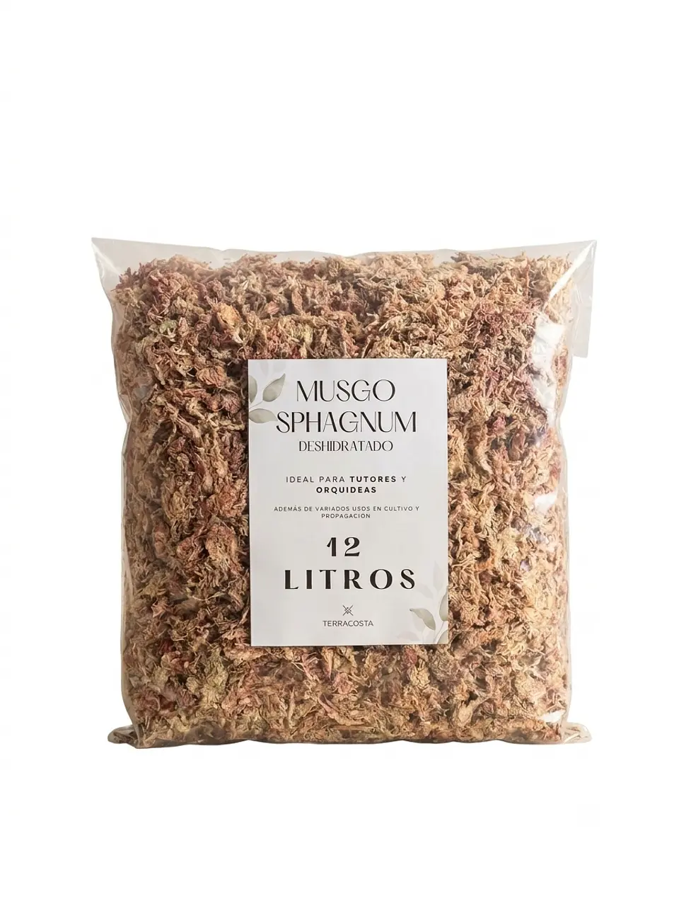 Musgo Sphagnum 1