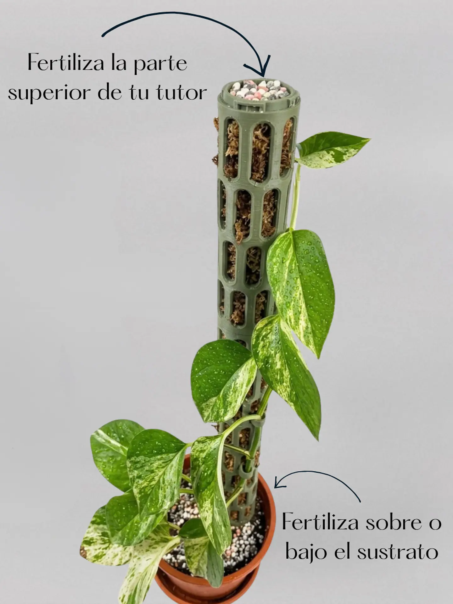 Fertilizante Granulado NPK 6
