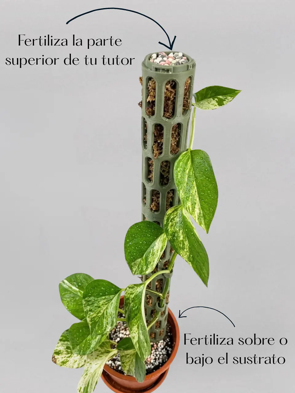Fertilizante Granulado NPK 6