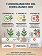 Fertilizante Granulado NPK - Miniatura 8