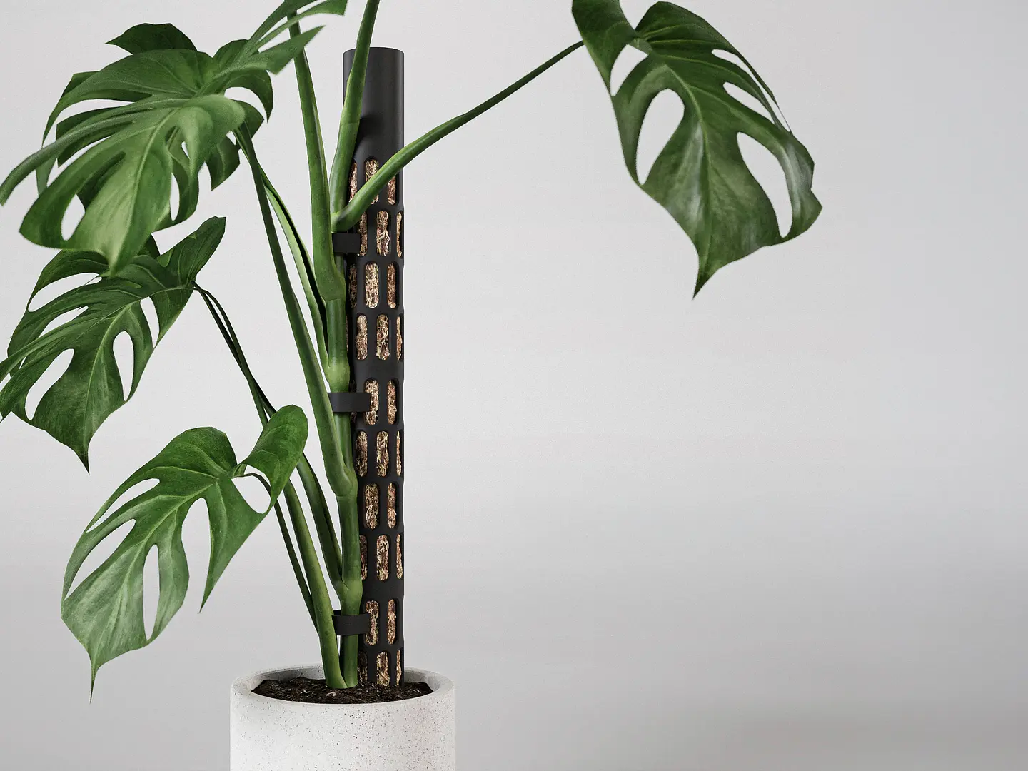Conoce la nueva tendencia en tutores para plantas