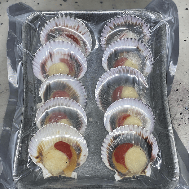 Ostión Media Concha - 1 Bandeja