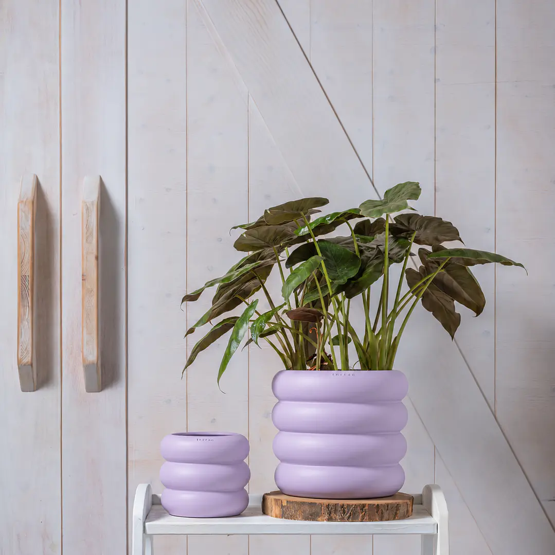 Dune Ceramic Planter in Lilac 1