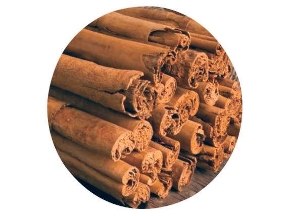 Canela Ceylán (varas) - 50 gr  granel
