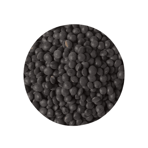 Lenteja Negra Caviar 500 gr