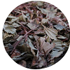 ZARZAPARRILLA, (Ribes cucullatum), 30 gr aprox. - Presentación: (Hojas -Tallos) Deshidratada