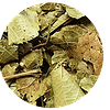 HOJAS  de MAQUI DESHIDRATADO, Aristotelia chilensis , 10 gr apróx. - Presentación: Hojas Deshidratadas