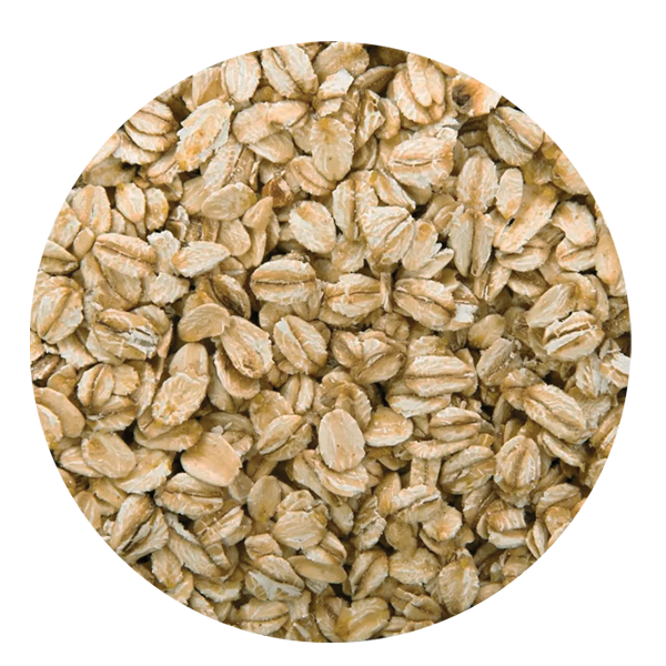 AVENA INTEGRAL DE CEREALES MIXTOS (SIN AZUCAR AÑADIDA) 230GR INTEGRAL DE CEREALES MIXTOS (SIN AZUCAR AÑADIDA) 230GR