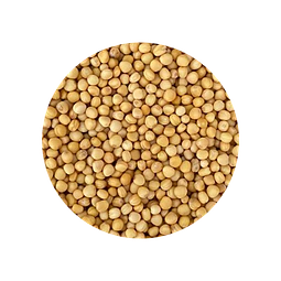 Semilla  Mostaza Amarilla granel 100 gr - granel
