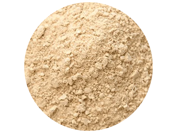 Ajo en Polvo 100 gr - granel