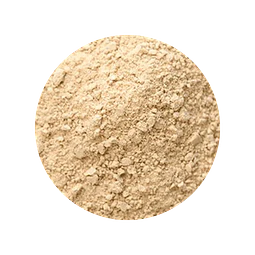 Ajo en Polvo 100 gr - granel