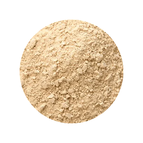 Ajo en Polvo 100 gr - granel