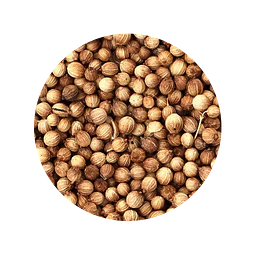 Semilla Cilantro 100 gr - granel