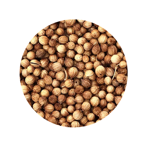 Semilla Cilantro 100 gr - granel