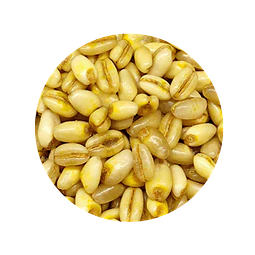 Trigo Mote  Deshidratado - 1 Kg