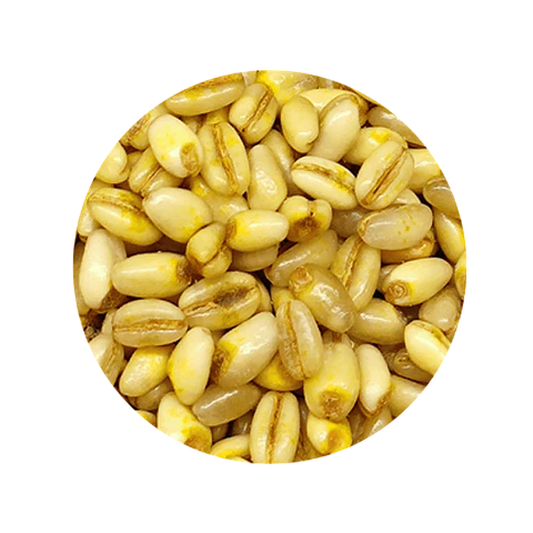 Trigo Mote  Deshidratado - 1 Kg