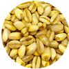 Trigo Mote  Deshidratado - 1 Kg