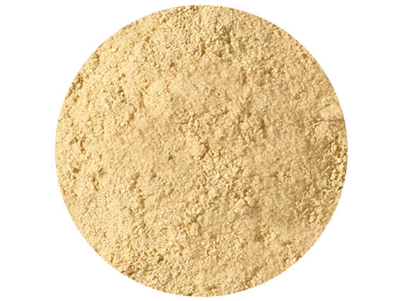 JENGIBRE EN POLVO 100 G 100 GR.