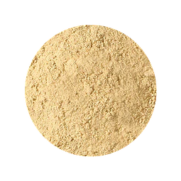 Jengibre en Polvo 100gr