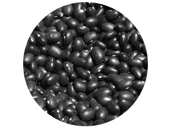 Poroto negro 250g/500g/1Kg