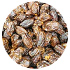 Dátiles sin Carozo 100 gr -  Irak