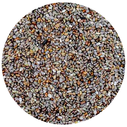 Semilla Chia Orgánica 500 gr