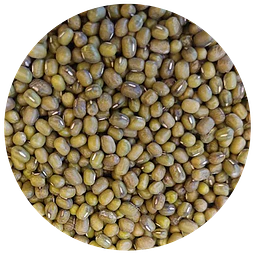 Poroto Mung - 1 Kg. - granel