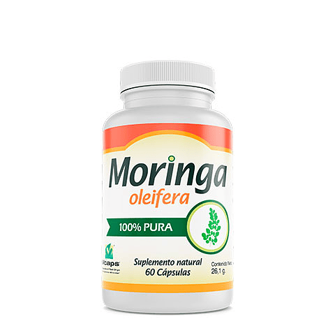 Promoción 3 Moringa Oleifera 
