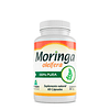 Promoción 3 Moringa Oleifera 