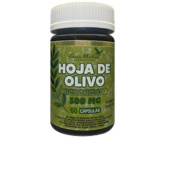 HOJA DE OLIVO