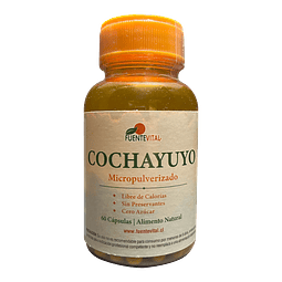 COCHAYUYO