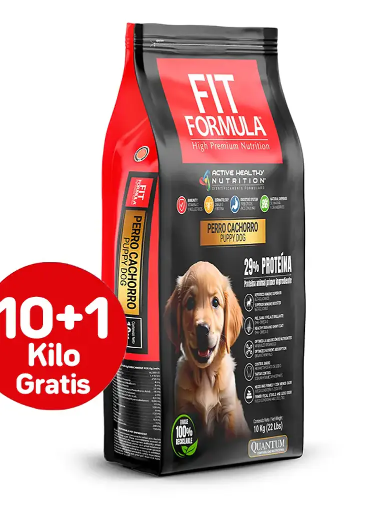 Fit Formula Cachorro 10 + 1 KG 1