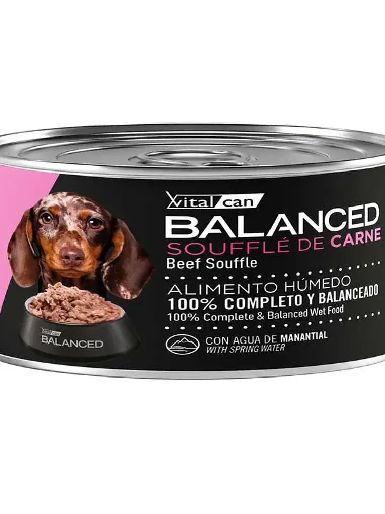 VitalCan Balanced Cachorro Carne 85 GR 1