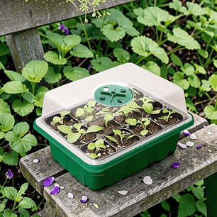 Bandeja germinadora, con tapa invernadero