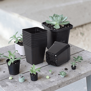 Macetas de plastico con perforaciones 6 unidades