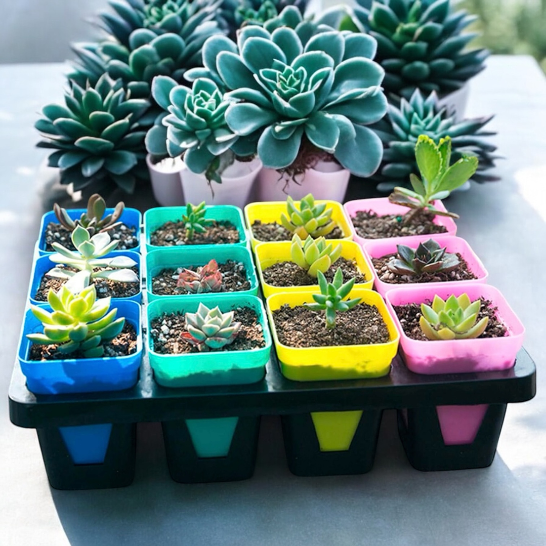 Porta macetas pack 3 unidades  2