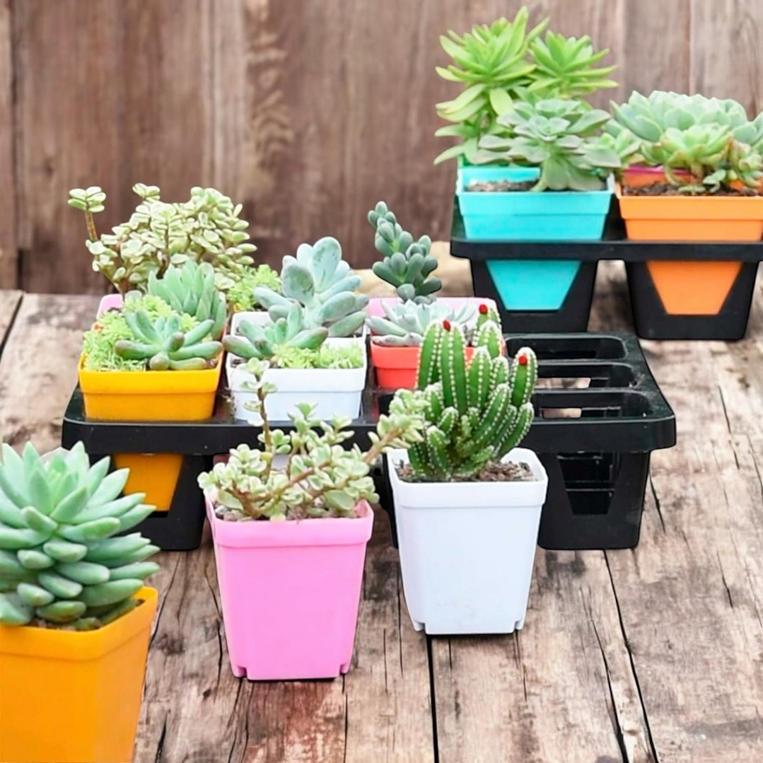 Porta macetas pack 3 unidades  3