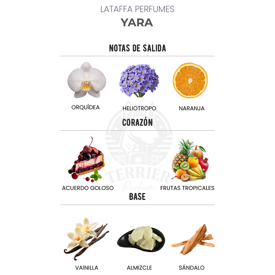 Perfume Yara 100 ml EDP Mujer – Lattafa (Inspirado en Poison Girl de Dior) 2