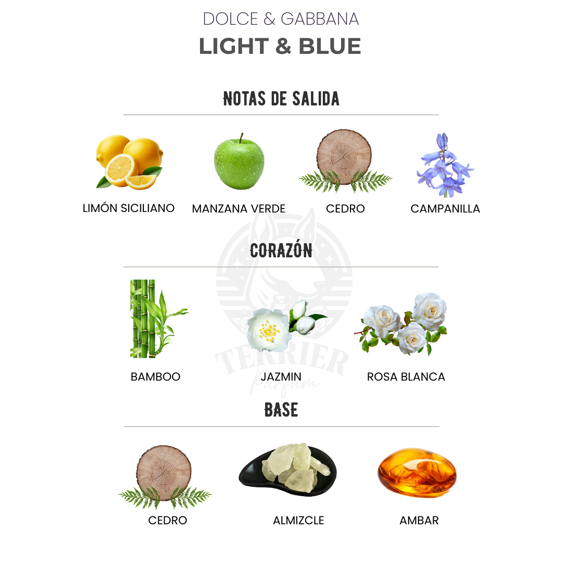 Perfume Dolce & Gabbana Light Blue Woman 100 ml EDT Mujer 2