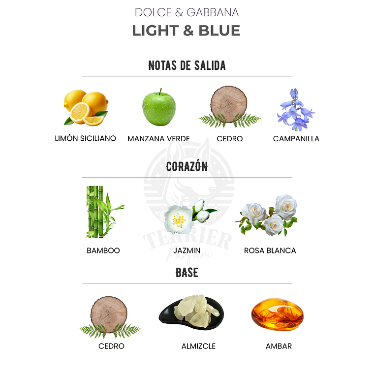 Perfume Dolce & Gabbana Light Blue Woman 100 ml EDT Mujer 2