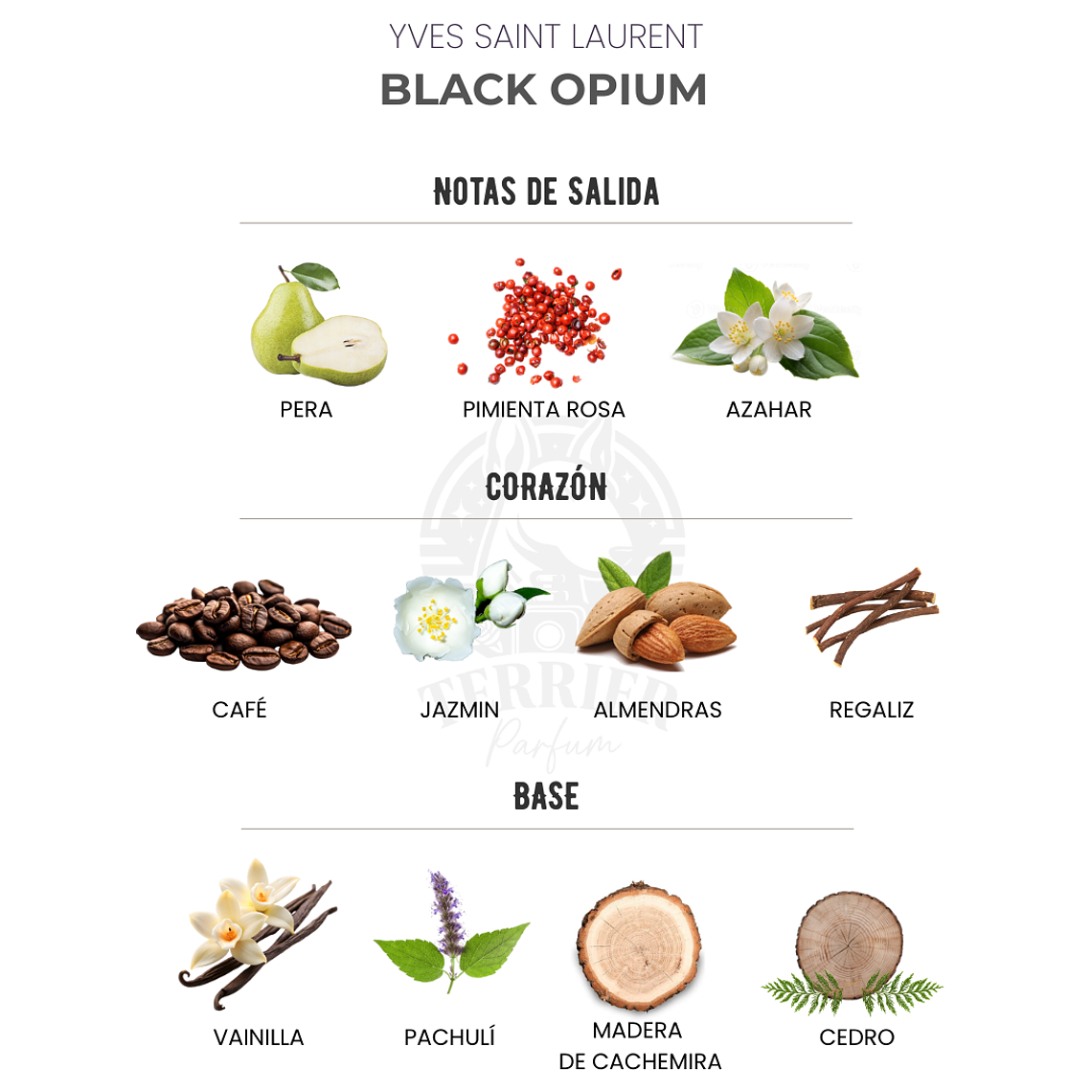 Perfume Yves Saint Laurent Black Opium 90 ml EDP Mujer 2