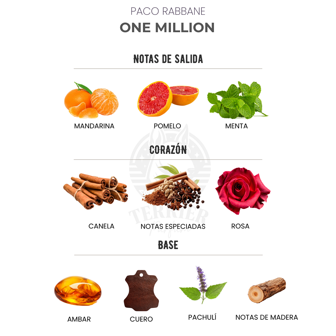 Perfume Paco Rabanne One Million 100 ml EDT Hombre 2