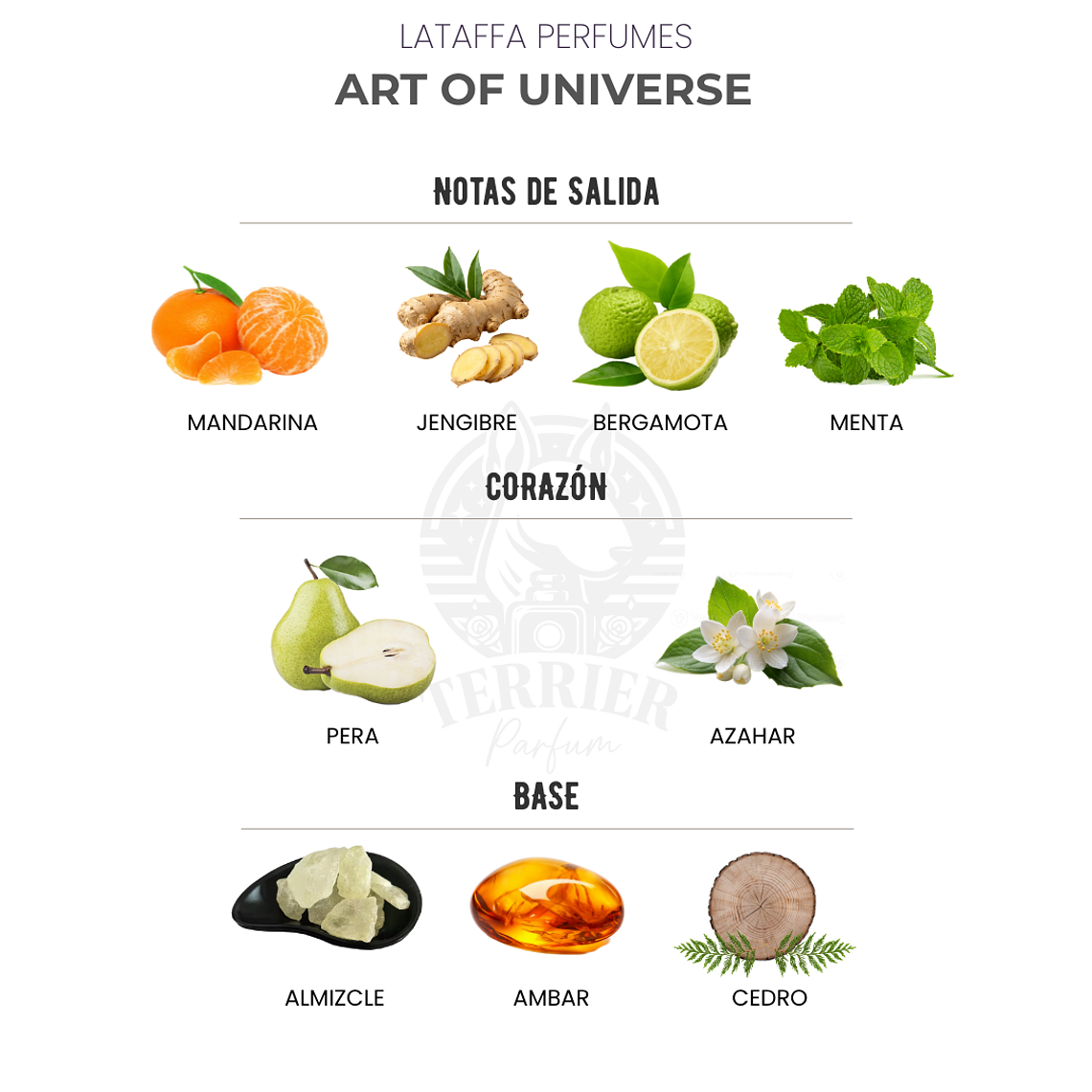 Perfume Lattafa Art of Universe 100 ml EDP Unisex 2