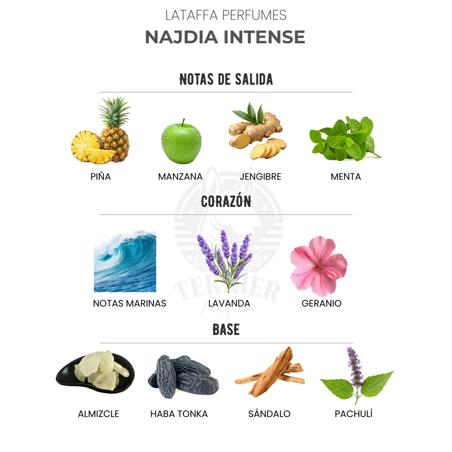 Perfume Najdia Intense Lattafa 100 ml EDP Hombre –  Le Beau Paradise Garden de Jean Paul Gaultier 2